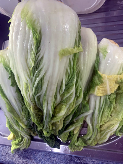 Kimchi & Gochujang Classes